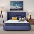 8" Twin Mattress, Five Star Mattress Medium, Innerspring Adult pedic, Hybrid, Mattress in a Box, Twin Size Mattress